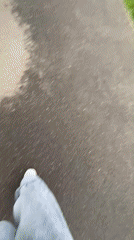 Woman takes selfies near Saratov Ferris wheel, outdoor dining area