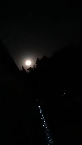 The video presents a night scene with a full moon visible in the sky. The moon is surrounded by dark silhouettes of trees, creating a dramatic contrast. In the foreground, there is a line of small, glowing lights stretching into the distance. The rest of the scene is shrouded in darkness, giving the video a mysterious and atmospheric feel.