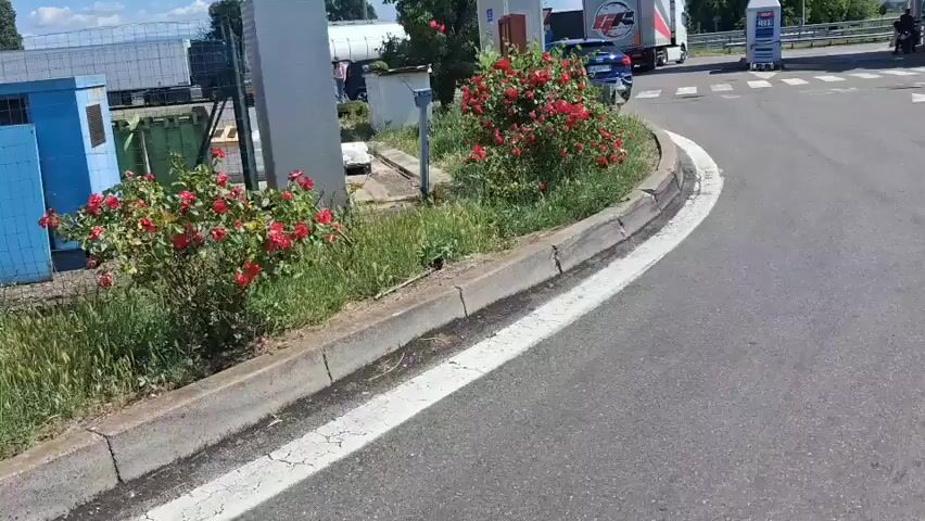 The video shows a view from a slightly elevated position, looking across a road towards a parking area at what seems to be a service station or rest stop. The road has a white line marking the edge, and a raised concrete curb separates it from a small patch of greenery. Several bushes with vibrant red flowers are planted within the greenery.

Behind the greenery and across the road, several vehicles are parked. These include white tanker trucks, semi-trucks with trailers, a blue Audi SUV, and a red compact car. Some people are standing around the vehicles, but their actions aren't clearly discernible from the angle and distance. The background suggests a clear, sunny day.