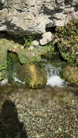 A close-up shot shows a small waterfall cascading over moss-covered rocks. The water is clear and reflects the sunlight, creating a shimmering effect. Green moss clings to the rocks and the surrounding earth, indicating a damp and shaded environment. In the background, a large rock formation with some vegetation is visible. The video focuses on the movement of the water as it flows into a shallow stream at the bottom of the frame.