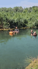 Wetsuit-clad swimmers interact with hippo replica in Hévíz waters