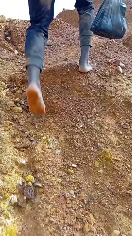 The video shows a person's legs and feet walking on a dirt path. The person is wearing dark pants and grey rubber boots. The ground is covered in dirt, gravel, and small rocks. The lighting suggests it is daytime. The camera is positioned low, focusing on the feet and the immediate surroundings.