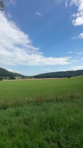The video shows a scenic rural landscape with rolling green hills under a bright blue sky with white clouds. The camera pans across the scene, revealing a large grassy field bordered by trees and foliage. In the distance, a small dark structure, possibly a building or a haystack, is visible in the field. The foreground is dominated by tall green grass and a few trees, some of which have bare branches, suggesting it might be late spring or early summer. The overall impression is one of tranquility and natural beauty.