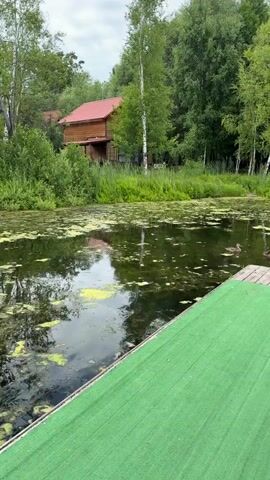The video begins with a view of a calm, somewhat algae-covered body of water, likely a pond or lake, with green reeds growing along the bank. A wooden building with a red roof is visible in the background, surrounded by trees. There are a few ducks swimming in the water. In the foreground, a green-carpeted wooden dock extends into the water, with a section of wooden planks to its right. As the camera pans across the water, the dock continues into the frame, revealing a set of wooden steps leading into the water. The scene transitions to a wider view of the lake, with a treeline and a small white structure in the distance. The sky is cloudy with patches of blue.