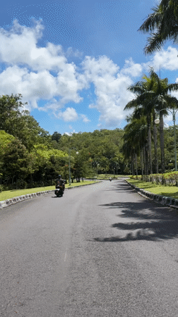 Scenic roadway documented in Pecatu, Indonesia during early morning