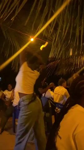 The video captures a group of people dancing and enjoying themselves outdoors at night. Palm trees are visible overhead, and a string of yellow lights hangs among the branches. The people are dressed in casual clothing, and some appear to be wearing light-colored shirts. A few individuals are actively dancing, with some swinging their arms. The camera angle is from slightly below, looking up towards the group and the trees. The overall atmosphere seems lively and festive.