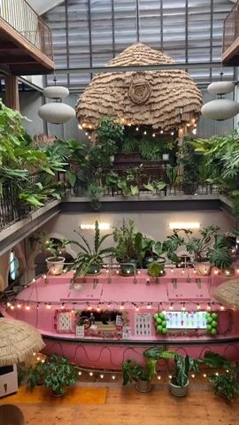 The video pans from left to right, showcasing an indoor atrium-like space filled with lush greenery and unique architectural elements. The dominant features are the abundant plants, placed on multiple levels, including hanging plants, potted plants, and large leafy specimens. A distinctive thatched roof structure hangs from the ceiling in the center, adorned with string lights. Below it, a second-floor walkway lined with plants overlooks a vibrant pink structure, resembling a boat or a concession stand, also decorated with string lights and green balloons. This pink structure appears to be a food or drink service area, with visible menus and drinks displayed. Additional seating, including white chairs and small tables, is visible on the ground floor. The overall ambiance is tropical, whimsical, and inviting, with natural light filtering in from the glass ceiling. No people are visible in the video.