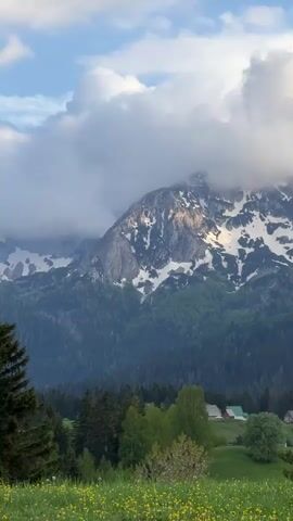 This vertical video captures a serene mountainous landscape in Bosača, Montenegro. In the background, majestic mountains with snow-capped peaks are partially shrouded by large, soft white clouds under a clear blue sky. The lower slopes of the mountains are covered in a dense, dark green forest.

In the mid-ground, a cluster of small houses or cabins with varying roof colors (red, green, grey) are nestled on a green hillside, surrounded by trees. The foreground features a vibrant green meadow dotted with numerous small yellow flowers, suggesting spring or early summer. A few scattered trees are also visible in the foreground.

The camera pans slightly to the right, revealing more of the village and the expansive, flowery field. The sound of footsteps on grass or gravel can be heard, indicating someone is walking through the scene, though no person is visible in the frame. The lighting suggests it is daytime, possibly late afternoon, with soft, natural light illuminating the scene. No text is visible in the video.