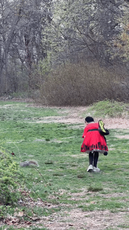 Evening stroll captured in Central Park with Manhattan skyline views