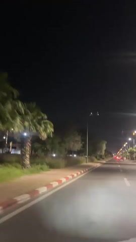 The video depicts a nighttime scene from a moving vehicle, likely a car, traveling on a paved road alongside a sidewalk. The sidewalk has a red and white painted curb. The roadside features trees, including palm trees and other green vegetation, which are illuminated by streetlights. The overall environment is dark.