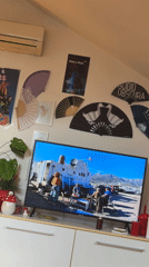 Interior scenes captured in Podgorica showing TV footage, decorative fans