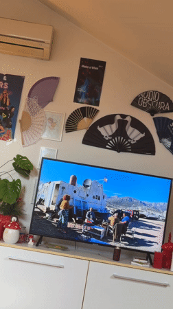 Interior scenes captured in Podgorica showing TV footage, decorative fans