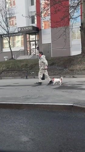 Man walks Jack Russell amid cloudy skies in Moscow