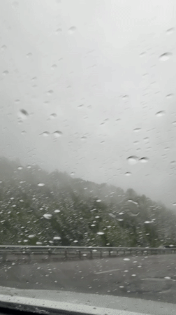 Rainy morning commute documented along Georgian highway near Ruisi