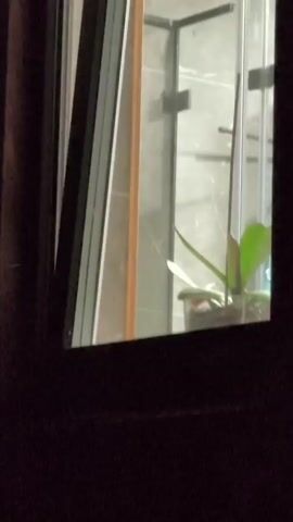 A person is showering in a stall with a glass door. The person's head and upper body are visible through the glass. The person is facing to the left and appears to be washing their hair. A plant in a pot is in front of the glass door.