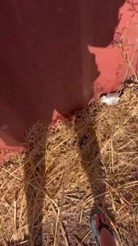 The video shows a person standing next to a red corrugated metal wall with dried grass and debris at the base. The camera then moves up to show the corrugated metal roof and pans out to reveal a view of a town and a body of water in the distance. The scene is taken on a sunny day with a clear blue sky. Trees are visible on either side of the view of the town and water. The person's shadow can be seen in the foreground.