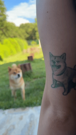 Backyard barbecue gathering with Shiba Inu in Priseltsi Bulgaria