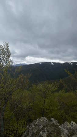 Hikers traverse forested mountains near Tazha, Bulgaria on cloudy morning