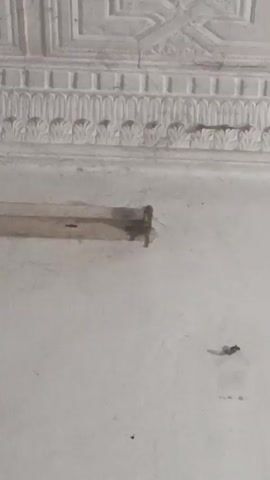 The camera focuses on a section of a white wall, featuring a decorative border along the top with geometric and floral relief patterns. Below the border, a thin, horizontal strip of wood or metal is affixed to the wall. The white wall itself shows signs of age, with some small dark spots and areas of discoloration. There is a small, round, white fixture attached to the wood strip. The lighting in the scene is somewhat dim and indirect, creating soft shadows that highlight the texture of the wall and decorative border. No people or actions are visible in the frame.