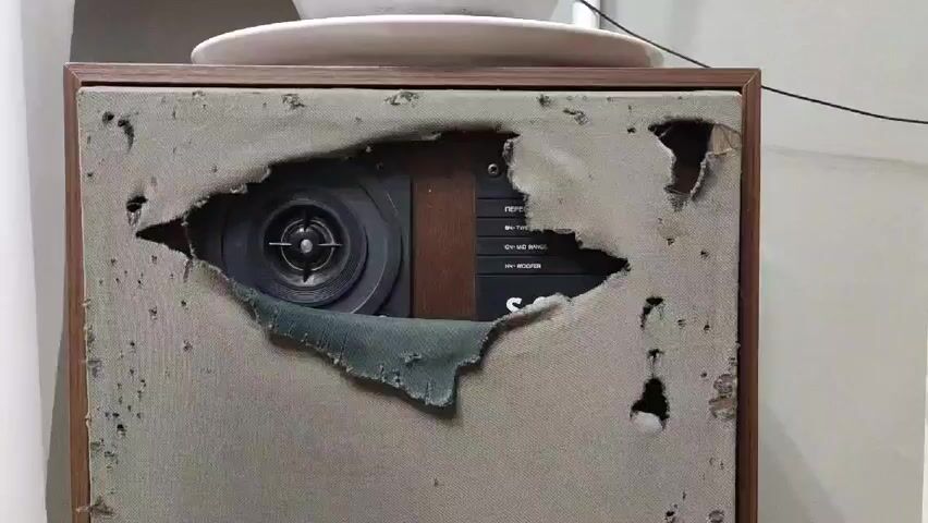 The video shows a close-up shot of a worn-out vintage speaker with a torn cloth cover. The speaker has a wooden frame and what appears to be a tweeter visible through the tear in the fabric. There are adjustments visible as well. The speaker sits under a white plate. Music is playing.
