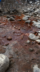 Natural and cultural landmarks documented in Arshan, Russia