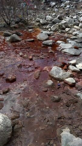 The video displays a shallow stream or riverbed characterized by distinct reddish-brown water flowing over and around numerous rocks and patches of mud. The rocks vary in size and color, ranging from light grey and white to darker browns and reds, some appearing smooth and water-worn.

The water itself has a deep, almost blood-like red hue, suggesting a high mineral content, possibly iron, which is common in mineral springs. The water flows gently, creating small ripples and reflections of the sky in places where it pools.

In the background, bare tree branches or bushes are visible, some adorned with colorful prayer flags in shades of blue, red, white, and yellow, indicating a site of cultural or spiritual significance. The ground around the stream bed is muddy and rocky, with some dry twigs and debris scattered about. A small blue plastic cap is briefly visible on a rock towards the right side of the frame.

The scene is outdoors, well-lit by natural daylight, suggesting it is daytime. No people are visible, and no text is discernible. The overall impression is that of a unique natural landscape, likely a mineral spring in the Arshan region of Russia.