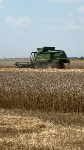 This media file shows a green John Deere combine harvester working in a field of ripe wheat. The combine is moving from left to right, cutting the wheat and collecting it. The field is vast, with rows of golden wheat stretching into the distance. The sky is clear and blue with a few scattered clouds, suggesting it is a sunny day. The combine is kicking up dust as it operates, indicating dry conditions. In the background, there are more fields and some distant trees. The overall impression is one of agricultural activity and harvest. The location is Bozduganovo, Bulgaria. There is no visible text in the media file.