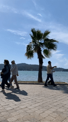 Peaceful coastal scenes documented in Fethiye, Turkey waterfront