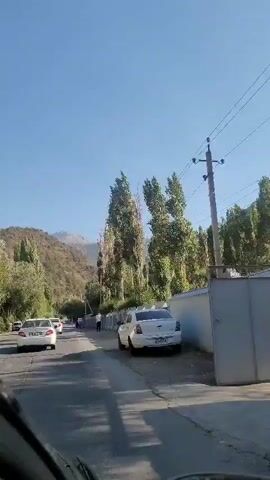 The video shows a roadside view, likely from inside a moving vehicle, on a clear, sunny day. The road is paved, and there are cars driving in the same direction. To the right of the road, there is a concrete wall with a patterned design, and beyond that, a line of tall, slender trees with green foliage. Further in the background, a hill or mountain covered in trees is visible. There are power lines running overhead. On the left side of the road, more cars are visible, as well as more trees and vegetation. A person in dark clothing is walking on the side of the road near a white car parked on the right shoulder. The overall impression is a scenic, rural or suburban road, possibly in a mountainous region.