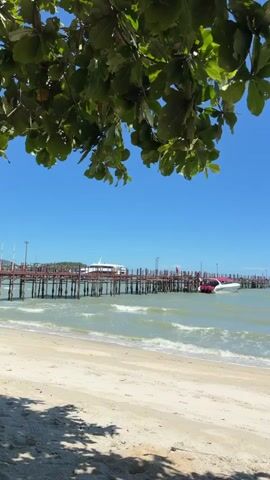 This media file captures a serene beach scene in Baan Bang Rak, Thailand. The foreground is dominated by a sandy beach with gentle waves lapping at the shore. Overhead, lush green leaves from a tree frame the top of the shot, casting dappled shadows on the sand.

In the mid-ground, a long wooden pier extends into the turquoise water. Several boats are docked at the pier, including a sleek, modern white and pink speedboat that appears to be in motion. A larger white ferry or cruise ship is visible further down the pier. People are scattered along the pier, some standing and others potentially disembarking or boarding.

The background reveals a clear, bright blue sky, indicating a sunny day. The water is calm with small waves, suggesting pleasant weather suitable for water activities. The overall atmosphere is peaceful and idyllic, evoking a tropical vacation setting. The time of day appears to be daytime, likely late morning or early afternoon, given the bright sunlight and clear sky. There are no visible text elements in the media file.
