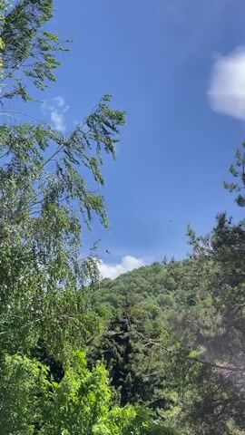 The video depicts a lush, green mountain landscape under a clear blue sky with scattered white clouds. The frame is partially bordered by trees on either side, framing the view towards the green hillside. A zip line can be seen strung across the mountainside.