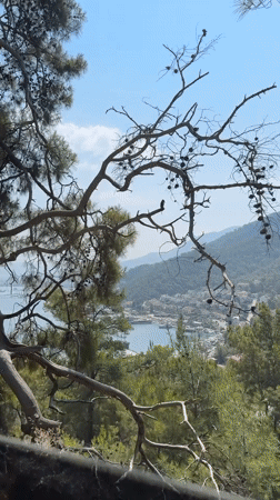Morning on the water in Fethiye: bay views and boat breakfast