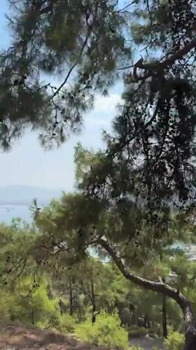 Morning on the water in Fethiye: bay views and boat breakfast