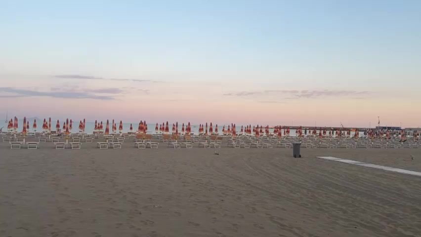 The video shows a beach with rows of closed umbrellas and lounge chairs under a pale pink and blue sky. The sand is mostly empty, with a few seagulls visible. In the distance, a pier extends into the calm sea, and a small boat can be seen. The overall scene suggests a quiet morning or evening on the beach before or after peak hours.