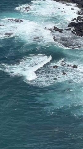 The video shows a rocky coastline with waves crashing against the rocks. The camera pans out to show the coastline stretching into the distance, with a cloudy sky overhead. The final shot is of the ocean from a high vantage point, with a glass railing visible in the foreground.