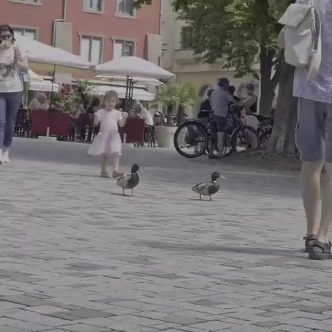 The video shows a young child in a light pink dress walking on a cobblestone plaza. Two ducks are walking in front of the child, also on the plaza. In the background, there are people sitting at tables outside of a building, an umbrella, and a tree. There are also bicycles parked near a tree. The scene appears to be a public outdoor space, likely a town square, given the architecture of the buildings and the presence of outdoor seating. The lighting suggests it is daytime, possibly late morning or afternoon, and the weather appears pleasant. The child seems to be walking with a sense of wonder, and the ducks are calmly walking along. There are no visible signs with text.