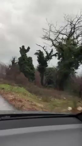The video shows a drive on a wet road, seemingly in a rural area. From inside a car, we see the road ahead, flanked by trees and vegetation. Some trees are bare, while others are covered in dense, green foliage. The sky is overcast and gray. The road curves slightly to the left as the car proceeds. There are no people visible in the video. Raindrops are visible on the windshield.