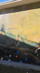 Saint Francis wildlife mural spotted on Temuco building wall