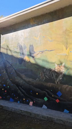 Saint Francis wildlife mural spotted on Temuco building wall