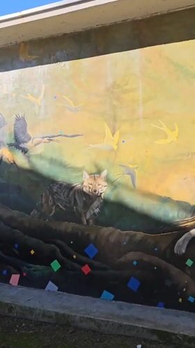 Saint Francis wildlife mural spotted on Temuco building wall