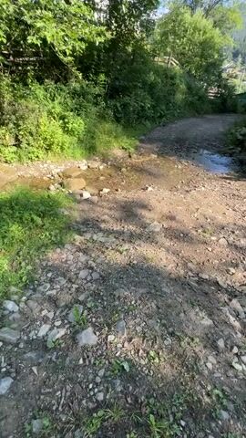 A handheld video captures a narrow, unpaved dirt road winding through a lush, green environment. Sunlight dapples the scene, casting shadows from overhead foliage onto the path. To the left of the road, a shallow stream flows over a bed of rocks, with patches of verdant grass and wildflowers growing along its banks. To the right, the road continues, bordered by more rocky terrain and vegetation. In the distance, a wooden fence and the tops of trees are visible, suggesting a rural or mountainous setting. The camera moves slowly, offering a close-up view of the stream and the immediate surroundings.