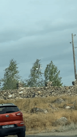 Quiet roadside details and oddities in rural Chkalovka, Armenia