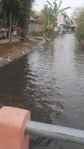 A first-person perspective video shows a narrow canal with murky, flowing water. The canal is lined with concrete on both sides. On the left bank, there is a dirt path and some vegetation, including bamboo fencing and a banana tree. On the right bank, there are houses and more vegetation. The water appears to have some debris floating on it. In the foreground, the top of a red railing and a silver metal pole are visible, suggesting the video is being filmed from a bridge or elevated walkway. The sky is overcast.