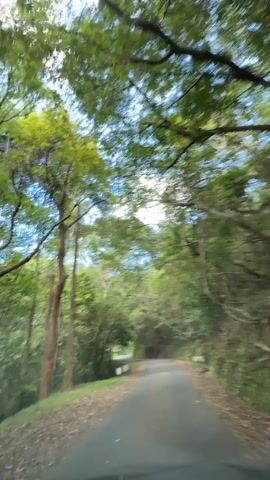 The video depicts a drive through a narrow, winding road surrounded by lush, green trees. The sky is visible through the canopy, showcasing a mix of clouds and blue patches. The road is paved and has a few white concrete markers along the side. The camera appears to be mounted inside a vehicle, capturing the view from the driver's perspective.