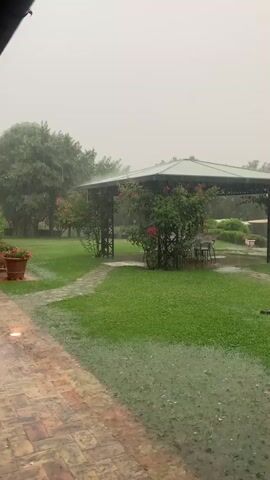 The video shows a heavy rainstorm in an outdoor garden setting. The focus is on a grassy area with a paved walkway and a gazebo in the background. The ground is wet and visibly covered in raindrops, indicating a downpour. Trees and flowering bushes surround the gazebo. The lighting is dim, characteristic of a stormy day. There are no people visible in the video.