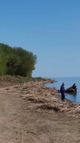 The video shows a man fishing in a lake. He is standing on the shore, which is covered with dry reeds. There is a large piece of driftwood next to him in the water.  The water is calm and blue, and there is an island visible in the distance. The sky is clear blue, turning to grey. The camera pans from the man to the lake and then towards the distant island.