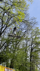 Carnival activities documented across Stavropol park during morning hours