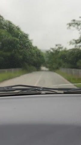 The video shows a view from inside a car looking out the windshield. The windshield has raindrops on it, indicating it is raining or has recently rained. The car is on a paved road that curves slightly to the left and leads into a wooded area. Lush green trees line both sides of the road, creating a tunnel-like effect. The sky is overcast and grey. The dashboard of the car is visible in the foreground. The camera is stationary, capturing the scene as the car presumably moves forward.