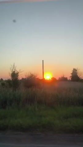 The video shows a sunset with the sun partially obscured by trees. There are tall grasses in the foreground and a billboard in the background. The sky is a pale pink and orange. The footage is taken from a moving vehicle, as indicated by the slight blur of the trees and grass.