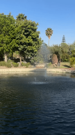 Evening park visit captured at pond with fountains in Mexico